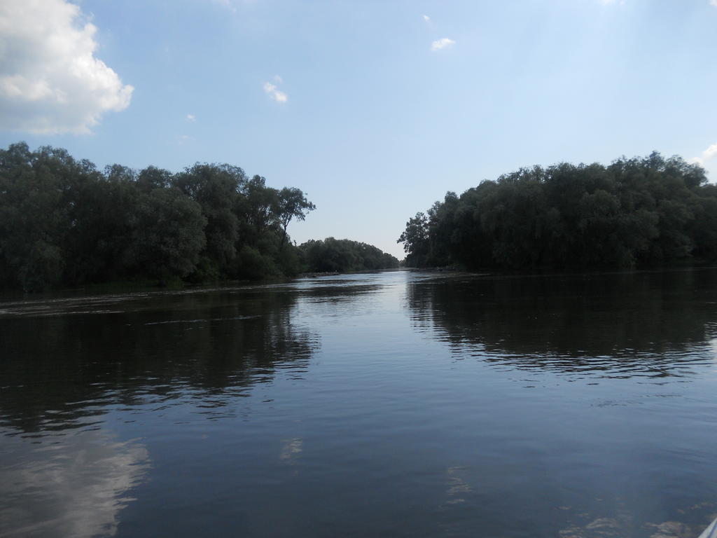 Pensiunea Cristal ทูลเซีย ภายนอก รูปภาพ